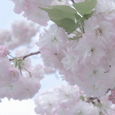 兽设拟人化设计实用技巧兽圈社群